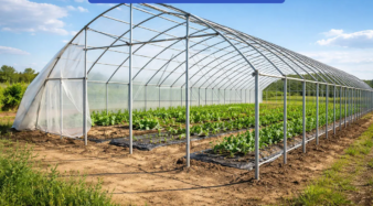 ساخت گلخانه با لوله داربست